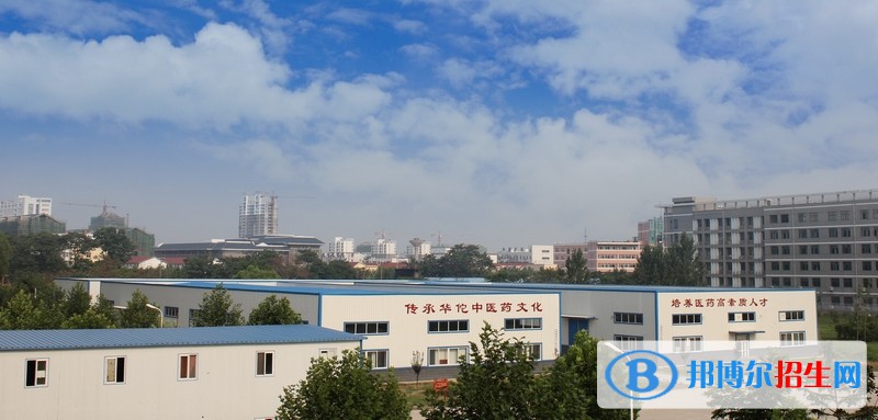 安徽亳州职业学院五年制大专2021年招生办联系电话