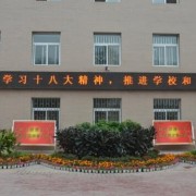 郑州艺术幼儿师范学校2021年招生计划