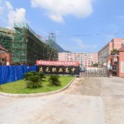 庆元县职业高级中学2022年招生录取分数线