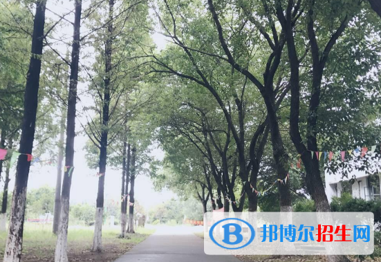 芜湖商贸工业学校网站网址