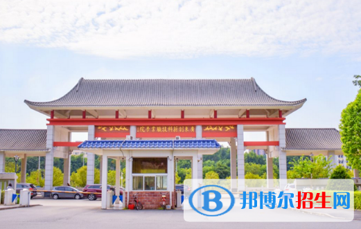 广东创新科技职业学院2020年有哪些专业