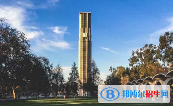 上海金苹果双语学校国际部2023年招生计划