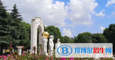 上海金苹果双语学校国际部网站网址