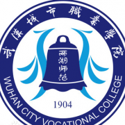 武汉城市职业学院单招2020年单独招生计划