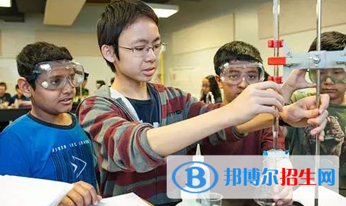 深圳贝赛思国际学校2023年招生计划
