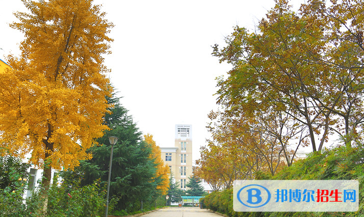 郑州郑中国际学校初中部2020年报名条件、招生要求、招生对象