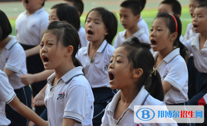 珠海东方外语实验学校初中部2020年招生计划