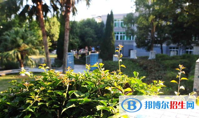 广东松山职业技术学院是几专