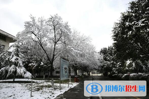 重庆海联职业技术学院地址在哪里
