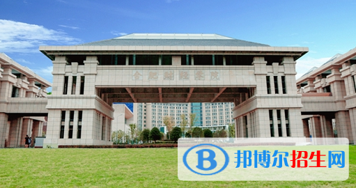 民办合肥财经职业学院2020年招生简章