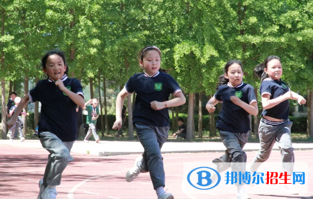 北京私立树人瑞贝学校小学部2023年招生简章