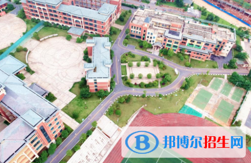 宁乡碧桂园学校小学部网站网址