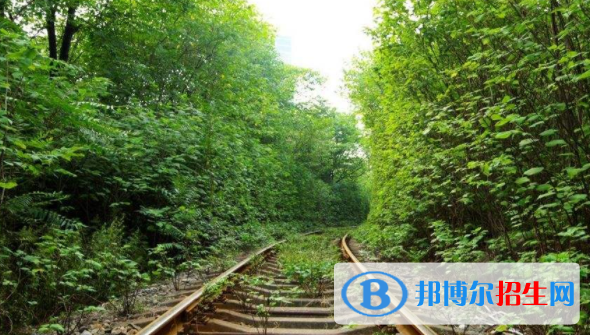 襄阳2020年铁路学校报名条件
