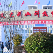 安庆大别山科技学校2022年招生录取分数线