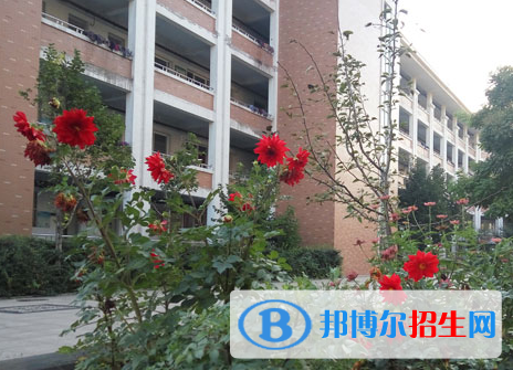涉县第一中学2022年招生代码