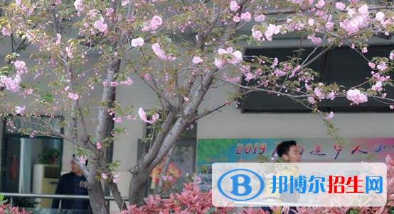 南京师范大学附属扬子中学2022年学费、收费多少