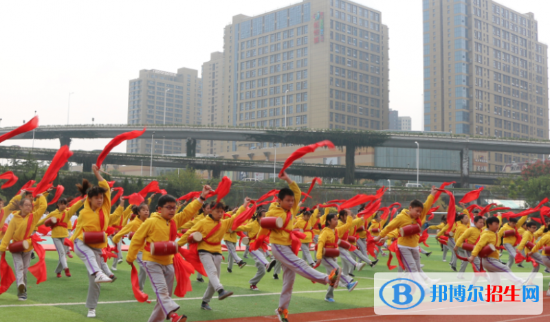 南京民办实验学校2022年报名条件、招生要求、招生对象