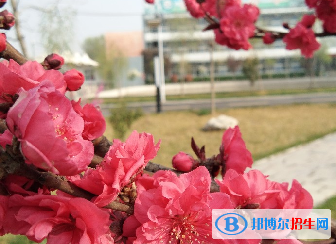邢台威县第一中学2022年招生代码