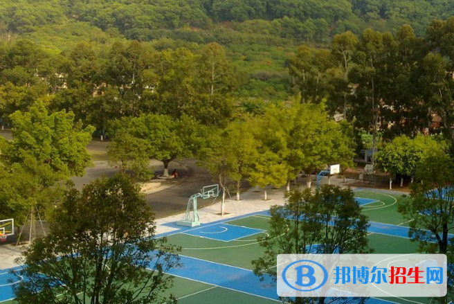 广州增城荔城中学2021年招生计划
