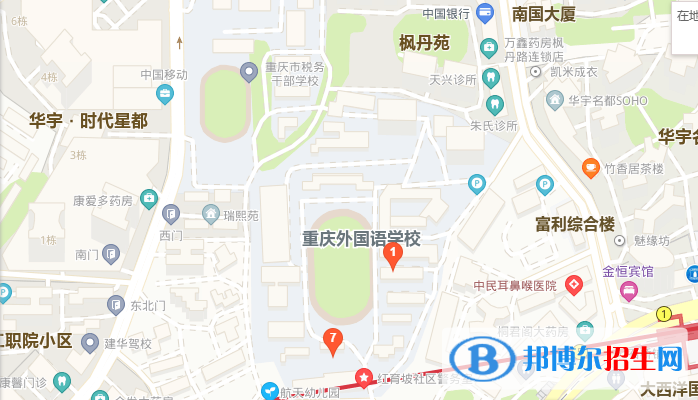 重庆外国语学校地址在哪里