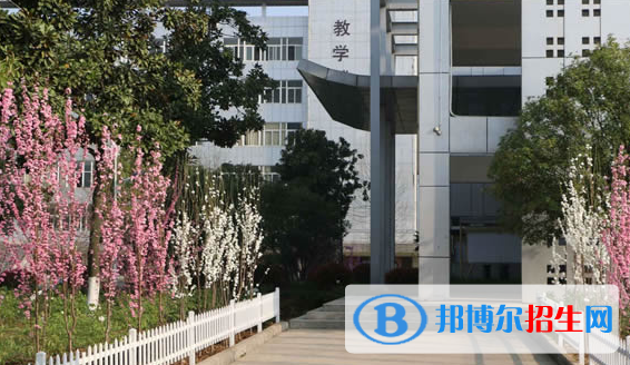 皖西卫生职业学院2021年招生代码