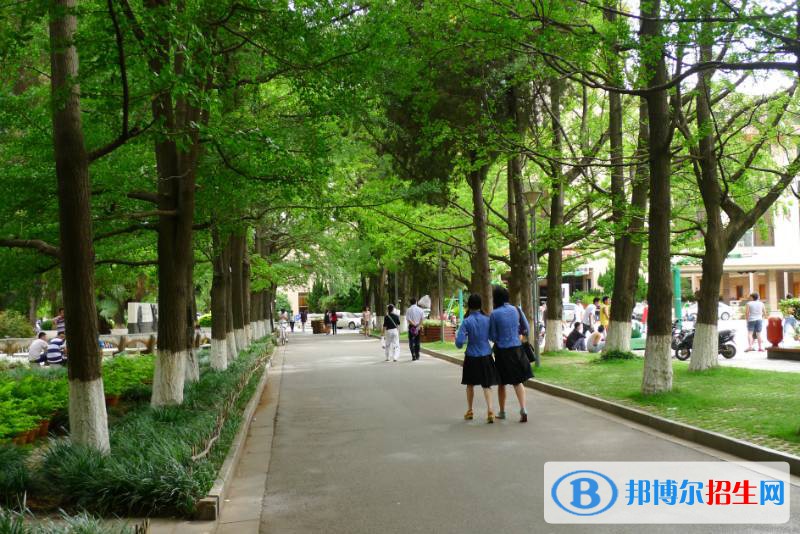 重庆2022年初中生可以上什么护理学校