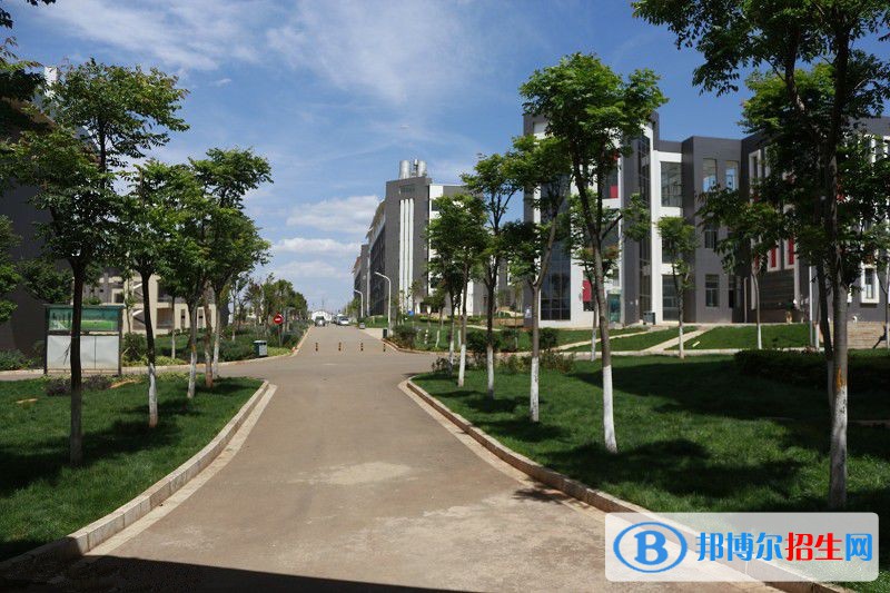 云南城市建设职业学院五年制大专2021年招生代码