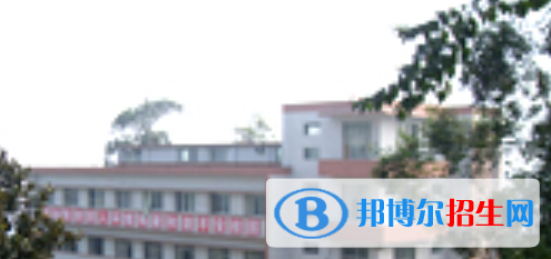 四川2021年什么电子商务学校好