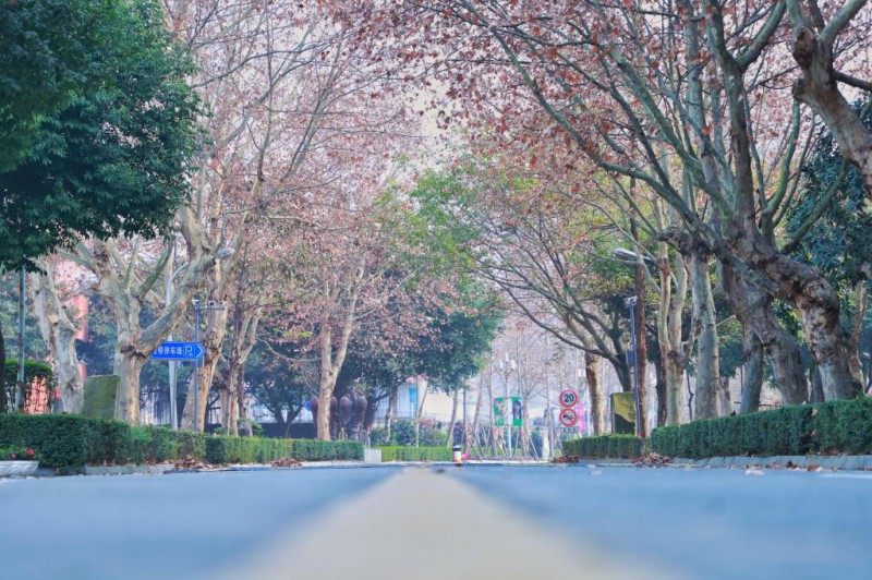 四川电影电视职业学院2022年招生办联系电话