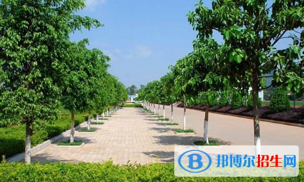 曲靖马龙县职业技术学校2022年招生录取分数线