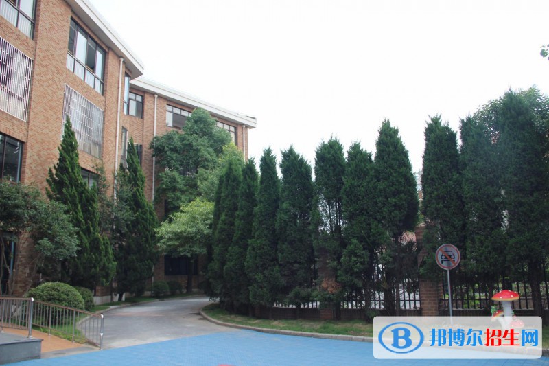 上海常青藤学校2022年招生政策