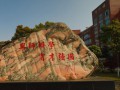 重庆电讯职业学院网站网址