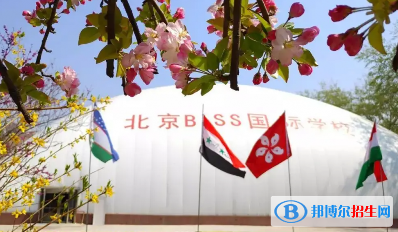 北京BISS国际学校2023年课程体系