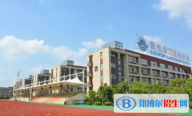 广东碧桂园(IB国际)学校小学部2023年入学条件2