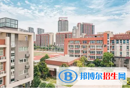 广东碧桂园(IB国际)学校小学部靠谱吗2