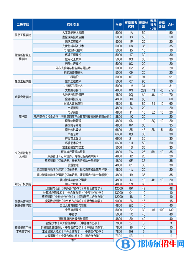 山东理工职业学院有哪些中外合作办学专业？（附名单）