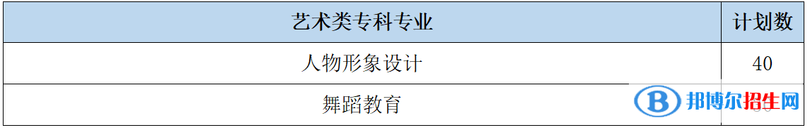 山东女子学院艺术类专业有哪些？