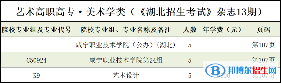 咸宁职业技术学院艺术类专业有哪些？