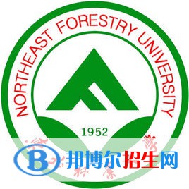 东北林业大学艺术类近几年录取分数线汇总（2022-2018）