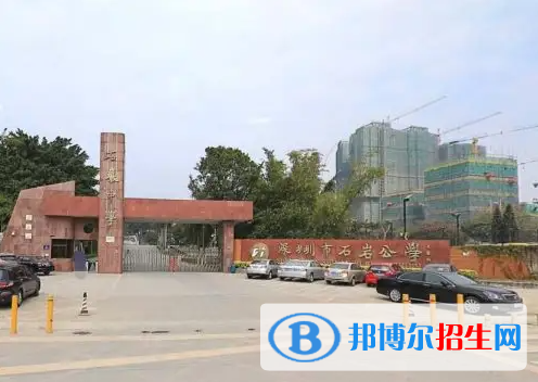 深圳石岩公学学校国际部小学2023年招生政策