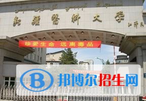 2022 新疆医科大学全国排名（新疆医科大学历年全国排名）-2023年参考