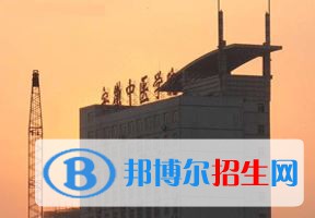 2022 安徽中医药大学全国排名（安徽中医药大学历年全国排名）-2023年参考