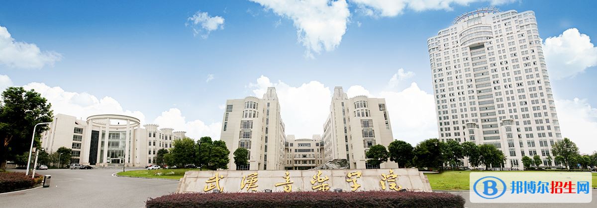 2022 武汉音乐学院全国排名（武汉音乐学院历年全国排名）-2023年参考