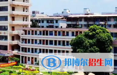 广西2023年中专计算机学校学什么好