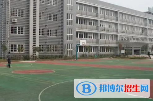 广西2023年中专计算机学校有什么专业