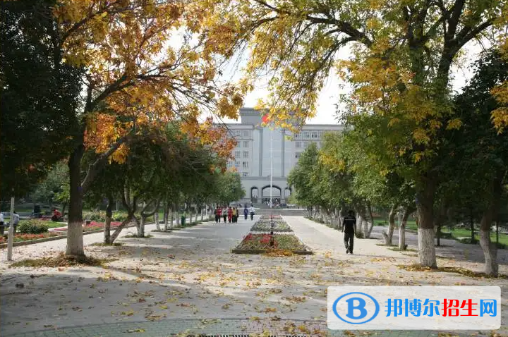2023新疆理科385分左右能上什么好大学（本省大学+外省大学）