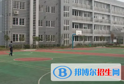 广西2023年计算机学校哪些好