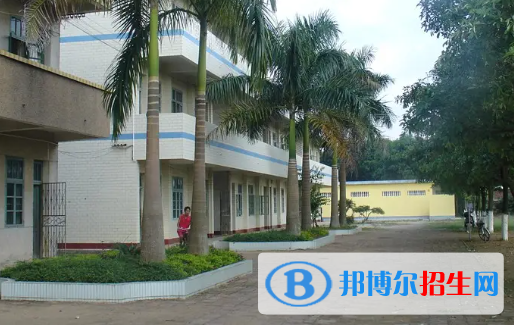 广西2023年计算机学校毕业有哪些职业