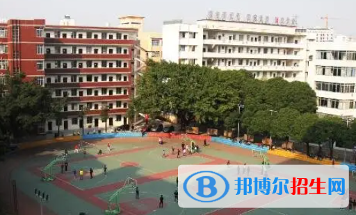 广西2023年读计算机学校有哪些专业