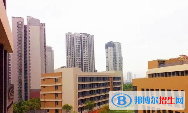 重庆史迪威外语学校初中部2023年招生政策